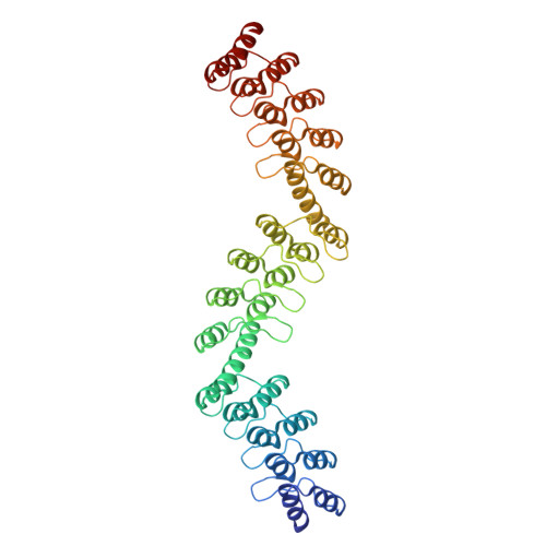 RCSB PDB - 5LEB: Crystal structure of DARPin-DARPin rigid fusion ...