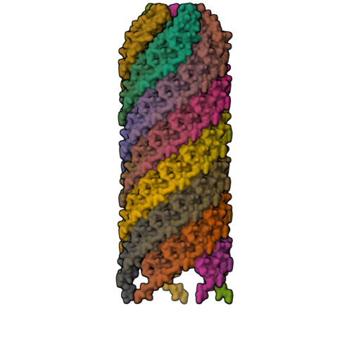 Rcsb Pdb 5lfb Structure Of The Bacterial Sex F Pilus 12 5 Angstrom Rise