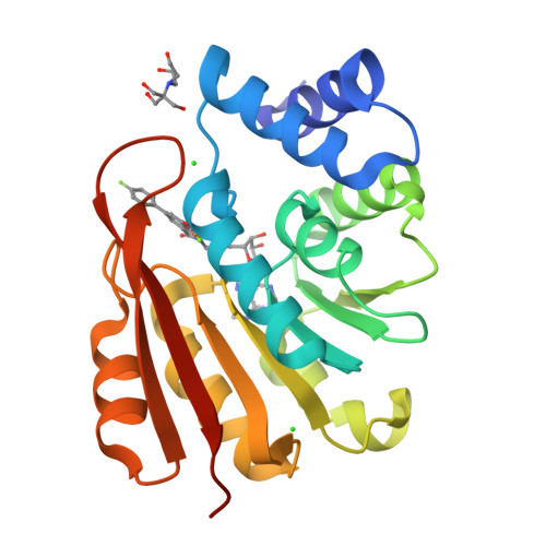 Comt Structure RCSB PDB - 5LQU: Crystal Structure of COMT in complex with N-[(E)-3 ...