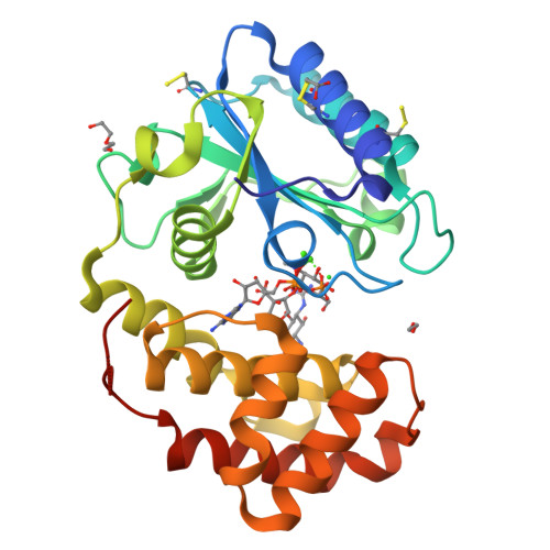 Rcsb Pdb - 5luh: Aada E87q In Complex With Atp, Calcium And Streptomycin