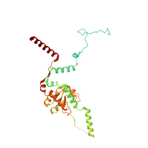 RCSB PDB - 5LZS: Structure of the mammalian ribosomal elongation complex  with aminoacyl-tRNA, eEF1A, and didemnin B