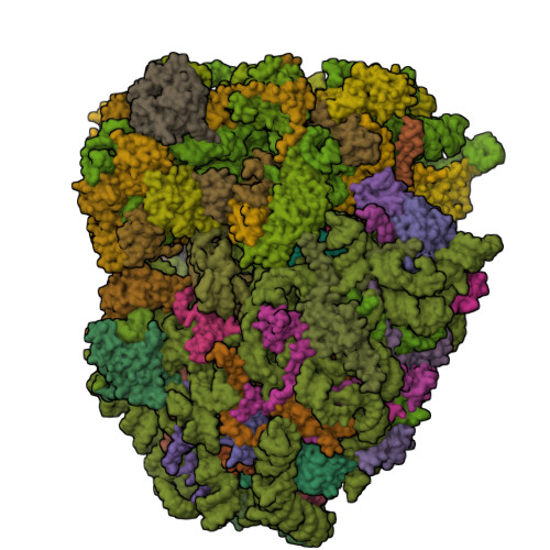 PDB 5LZW