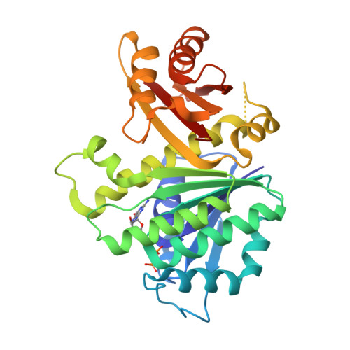 RCSB PDB - 5MN8: S. aureus FtsZ 12-316 F138A GTP Closed form (5FCm)