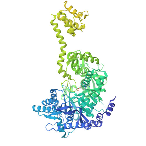 RCSB PDB - 5MSW: Structure of the A-PCP didomain of carboxylic acid ...