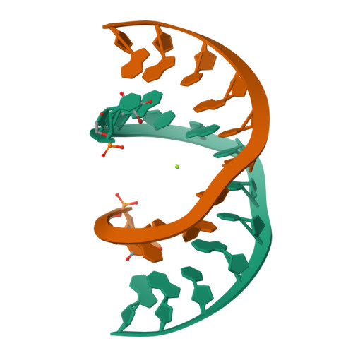RCSB PDB - 5MVL: Crystal structure of an A-DNA dodecamer containing 5 ...