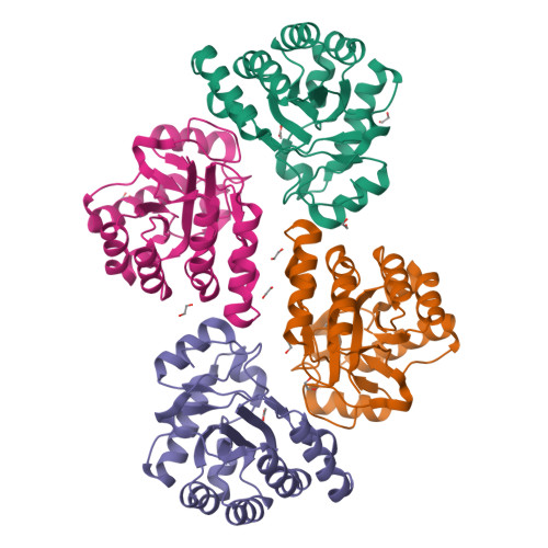 RCSB PDB - 5N1J: Crystal structure of the polysaccharide deacetylase ...