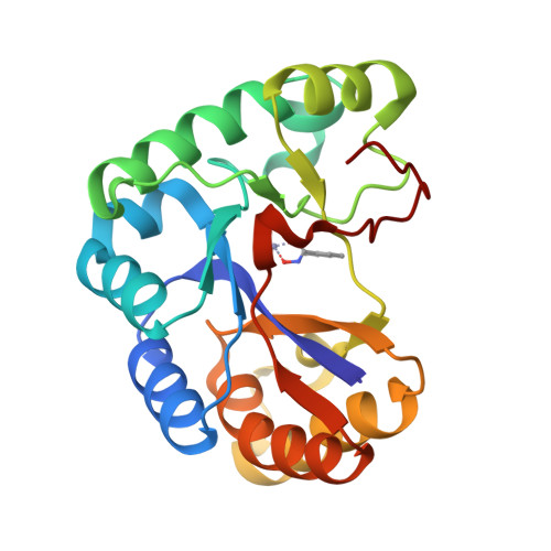 RCSB PDB - 5N1P: Crystal structure of the polysaccharide deacetylase ...