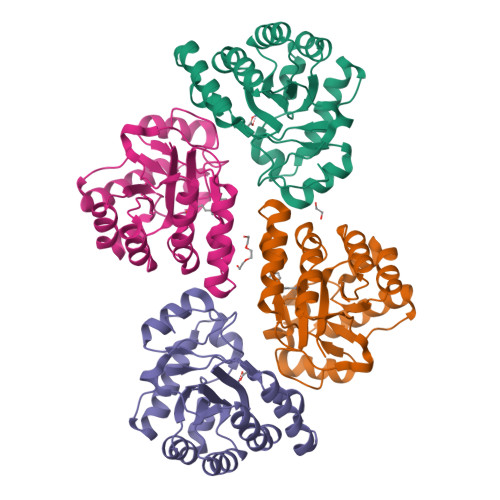 RCSB PDB - 5NC6: Crystal structure of the polysaccharide deacetylase ...