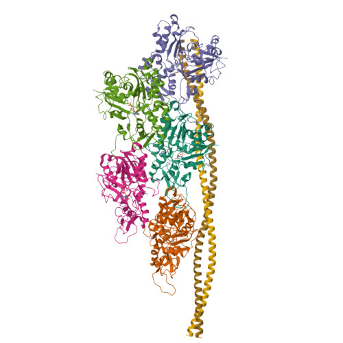 RCSB PDB - 5NOG: Ca2+-induced Movement of Tropomyosin on