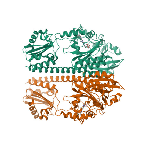 Deinococcus radiodurans