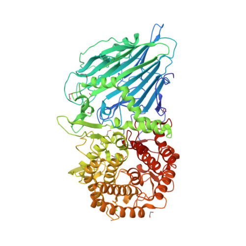 RCSB PDB - 5O0S: Crystal structure of txGH116 (beta-glucosidase 