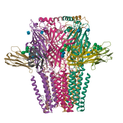 Gamma-aminobutyric acid receptor subunit alpha-5 structure