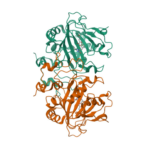 RCSB PDB - 5OA7: Fe(II)/(alpha)ketoglutarate-dependent dioxygenase 