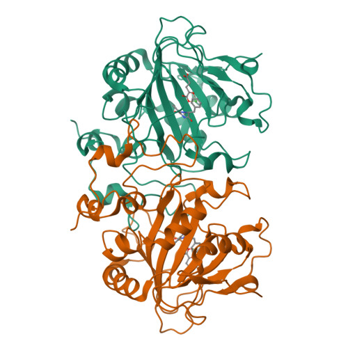 RCSB PDB - 5OA7: Fe(II)/(alpha)ketoglutarate-dependent dioxygenase 