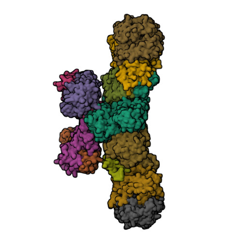 RCSB PDB - 5ODC: Heterodisulfide reductase / [NiFe]-hydrogenase complex ...