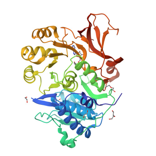Anthranilate--CoA ligase structure