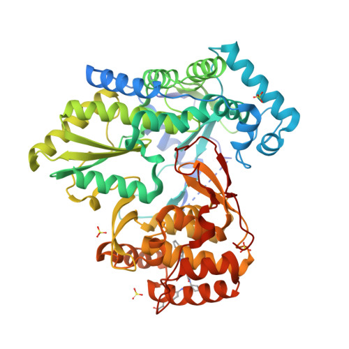 Rcsb Pdb Pzm Crystal Structure Of The Hepatitis C Virus Ns B Rna Dependent Rna Polymerase In