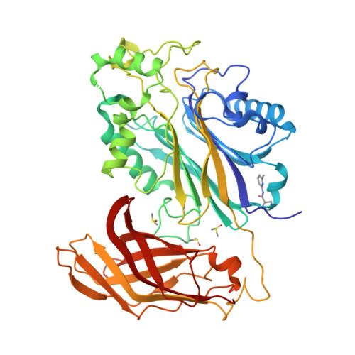 RCSB PDB - 5RWK: INPP5D PanDDA analysis group deposition -- Crystal ...