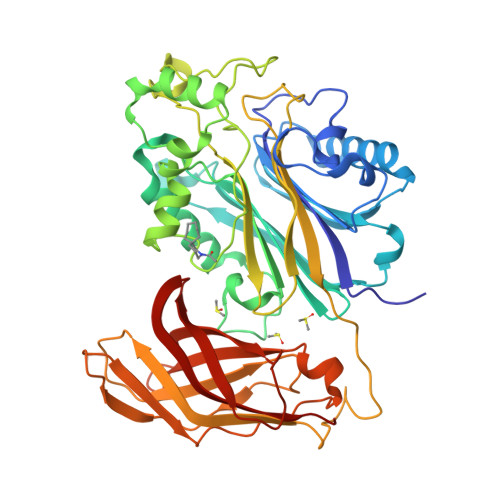 CNPOrangeBud 0.5ml最高品質 CRDP CRDH104 Amazon | CRDP CRDH 1.0ml リキッド OG 510規格 フリー | ノー