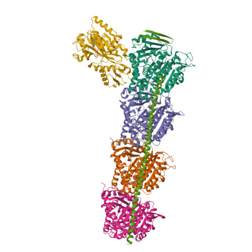 RCSB PDB - 5S5W: Tubulin-Z53860899-complex