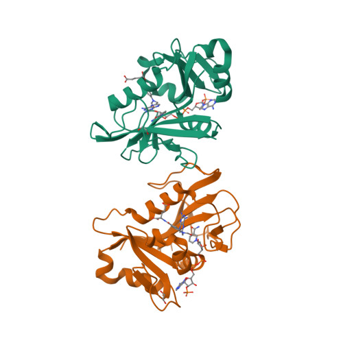 RCSB PDB - 5SDB: Crystal Structure of Human DHFR complexed with