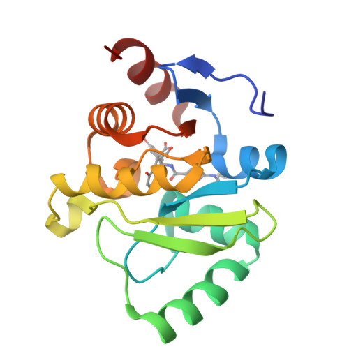 Rcsb Pdb Sqb Pandda Analysis Group Deposition Crystal Structure Of Sars Cov Nsp