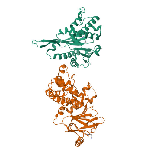 RCSB PDB - 5STZ: PanDDA analysis group deposition -- Aar2/RNaseH in ...