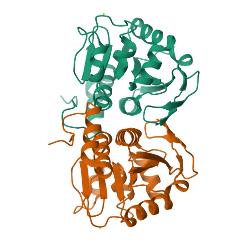 Rcsb Pdb Sy Atomic Resolution Structure Of Reduced E Coli Yajl