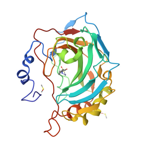 RCSB PDB 5SZ4 Carbonic Anhydrase IX Mimic In Complex With 4 Phenyl Benzenesulfonamide