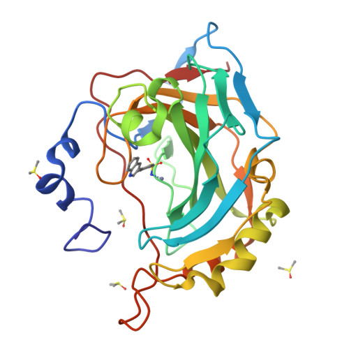 RCSB PDB - 5SZ7: Carbonic anhydrase IX-mimic in complex with 4-(3 