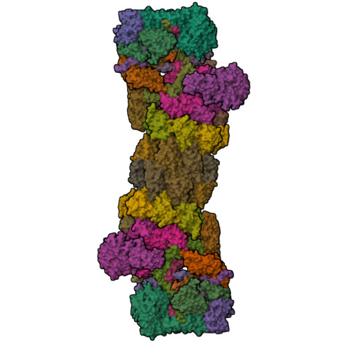 RCSB PDB - 5T0C: Structural basis for dynamic regulation of the human ...