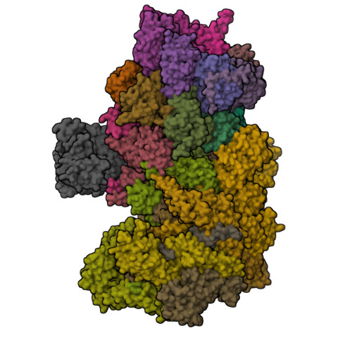 RCSB PDB - 5T0G: Structural basis for dynamic regulation of the human ...