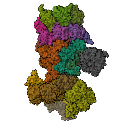 RCSB PDB - 5T0H: Structural basis for dynamic regulation of the human ...