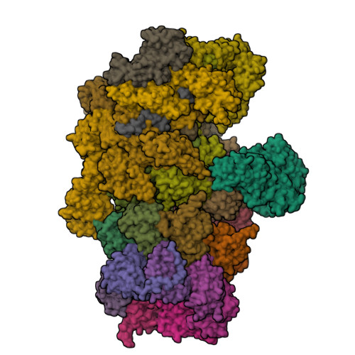 RCSB PDB - 5T0J: Structural basis for dynamic regulation of the human ...