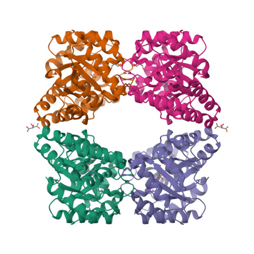 RCSB PDB - 5T26: Kinetic, Spectral and Structural Characterization 