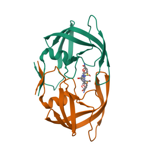 RCSB PDB - 5T2Z: Crystal Structure of Multi-drug Resistant HIV-1 