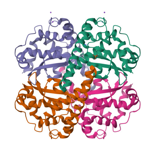 RCSB PDB - 5T30: Human MnSOD-azide complex