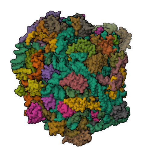 Rcsb Pdb 5t5h Structure And Assembly Model For The Trypanosoma Cruzi 60s Ribosomal Subunit