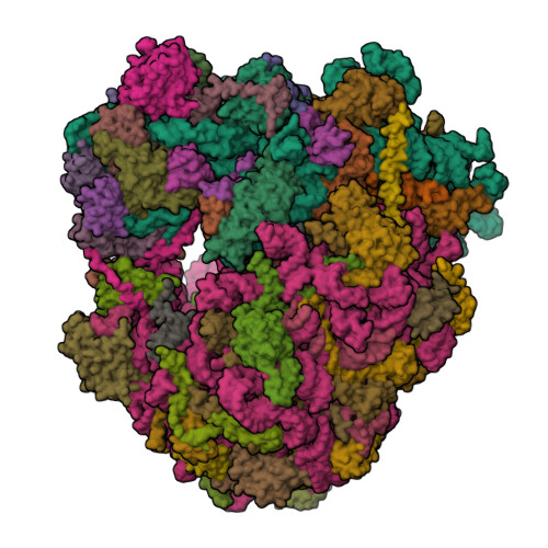 RCSB PDB - 5TGA: Crystal structure of the S.cerevisiae 80S