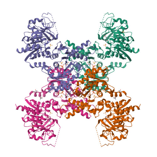 ctp structure