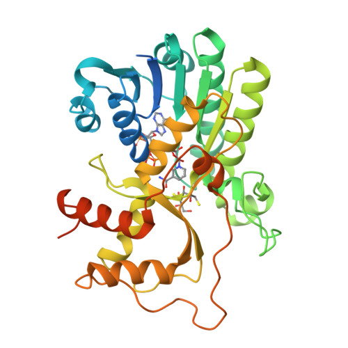 RCSB PDB - 5TQM: Cinnamoyl-CoA Reductase 1 from Sorghum bicolor in ...