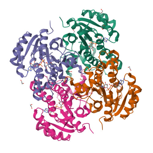 RCSB PDB - 5TRT: Crystal Structure of enoyl-(acyl carrier