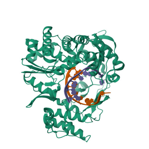 RCSB PDB - 5TSN: Crystal structures of Norwalk virus polymerase bound ...