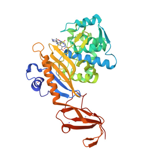 RCSB PDB - 5TW4: Crystal structure of S. aureus penicillin binding ...