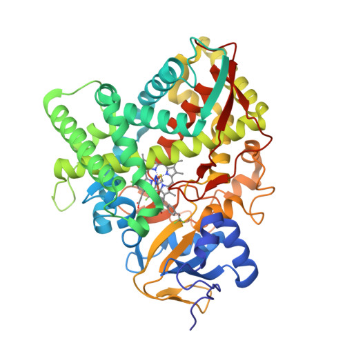 ち*ぷ様 ディアステマDiastema cf. fimbriatoloba ドルステニア フォエチダ【発根済み】GM2401749 | RAFLUM