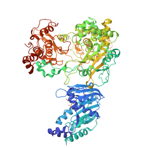 Human Biology 医学部新入生向け Human-Chimpanzee Differences in a FZD8 Enhancer Alter Cell