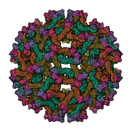 Rcsb Pdb 5u4w Cryo Em Structure Of Immature Zika Virus