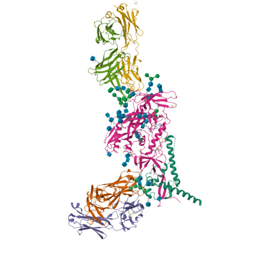 Rcsb Pdb 5u7o Crystal Structure Of Hiv 1 Bg505 Sosip 664 Prefusion Env Trimer Bound To Small