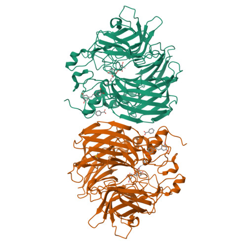 RCSB PDB - 5U97: Crystal structure of Co-CAO1 in complex with