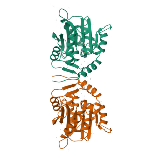 N-terminal Xaa-Pro-Lys N-methyltransferase 2 structure